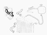 Radiator hose IE 86-88 (water pump-thermostat)