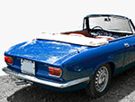 Guarnizioni Telaio capote Bertone GTC