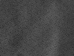 Cielo per 1300 - 2000 GTV Bertone (nero)