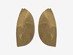 Set (2) rear wheel house covers tan GT Bertone