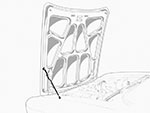 Asta cofano anteriore  1300 - 2000 Bertone 2. Serie