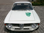Adesivo Alfa serpente verde (53cm)