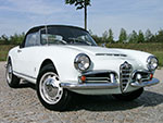 Copriruota 750 / 101 Spider + Sprint INOX