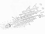 O - Ring per albero distribuzione Ferrari 308 / 328 / 355