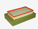 Air filter Ferrari  599 GTB / GTO + Ferrari FF