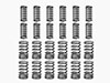 Set (24) valve springs 2600 Spider / Sprint / Berlina