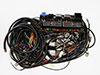 Electrical wire harness Ferrari 365 GT 2+2 (Queen Mary)
