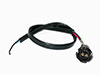 Rear + Stop light wiring with bulb holder Ferrari