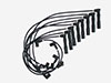 Set HT leads Ferrari 355