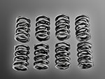 Set (16pcs) performance valve springs 105 / 101 / TS