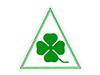 Sticker clover leaf (triangular 15cm)